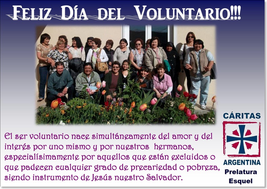 Dia del Voluntario